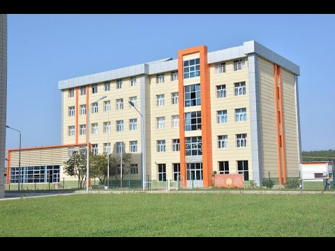 ნ. ნიკოლაძის სახელობის სკოლა-ლიცეუმი