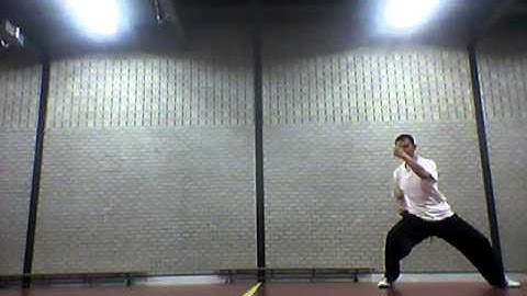 Chen Style Xinyi Hunyuan 24 form (GM Feng ZhiQiang) - Training 17 06 2013