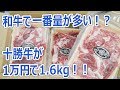 国産牛最大クラス 1万円で十勝牛1.6kg 北海道 幕別町【ふるさと納税】