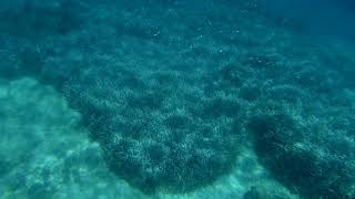 2017 0905 112814 005