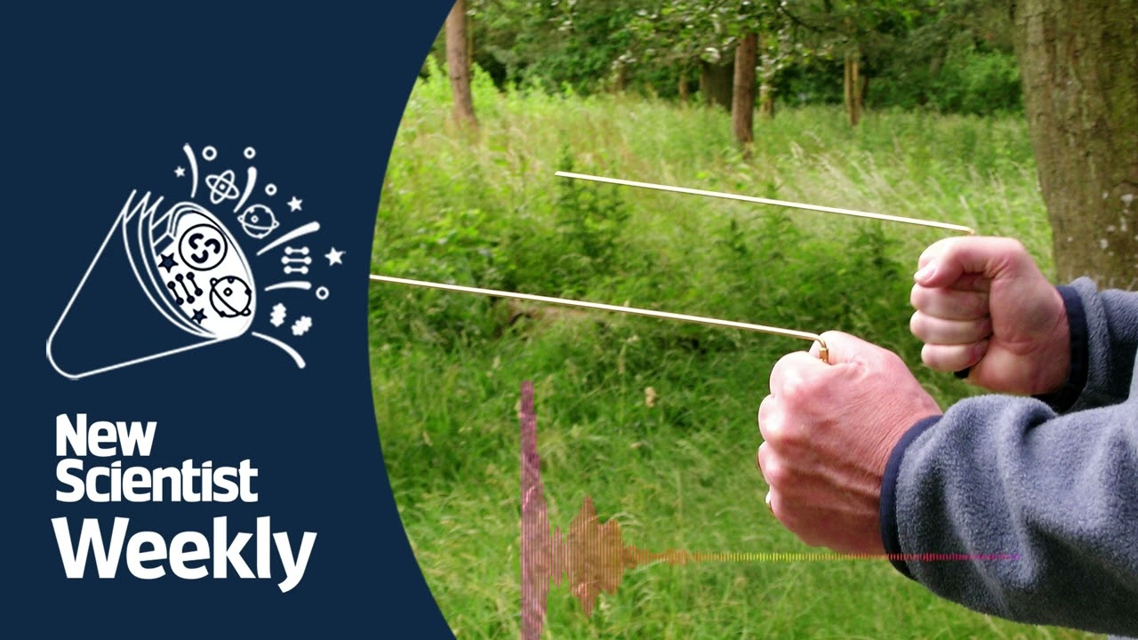 UK water companies still use dowsing to detect leaks | New Scientist Weekly podcast 165