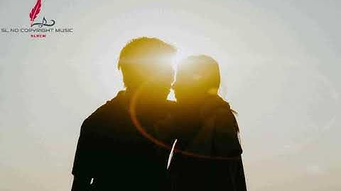 Nightfall by Roa · (SL No Copyright Music) - Algorithmic Boost Request - 2000000 #YTBoostRequest