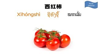 ຮຽນຈີນພາສາ(ຜັກ ແລະ ໝາກທຸກໆປະເພດ)เรืยนพาษาจีน