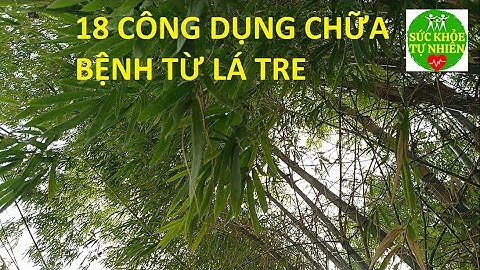 Lá Tre Và 18 Công Dụng Chữa Bệnh Cho Người Nghèo Ai Bệnh Sỏi Thận Không Biết Dùng Thì Quá Phí