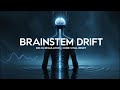 Brainstem Drift | 0.5 Hz Delta Regulation | Core Vital Reset Protocol | 4 Hours | NO WIND