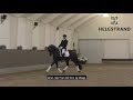 Helgstrand Stallion - Global Player 2020