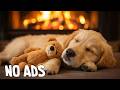 24 Hours of Healing Dog Music 🐶🎵Anti-Separation Anxiety Relief Music🐶💖Deep Sleep & Calm💖No Ads