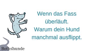 Warum flippt mein Hund plötzlich aus? || Wenn das Fass überläuft - Stress beim Hund