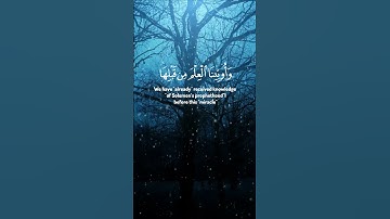 سورة النمل الآية 41 و 42 و 43 بصوت القارئ محمد الفقيه