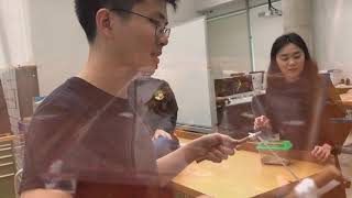 Interactive Spaces Experience 1