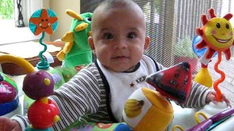 massimo in his new home