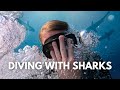 Scuba diving with the sharks and an open wound 