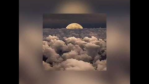 آيات من سورة الذاريات... أمين بربيد حفظه الله