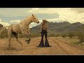 Miniature de la vidéo de la chanson Wildflowers And Wild Horses