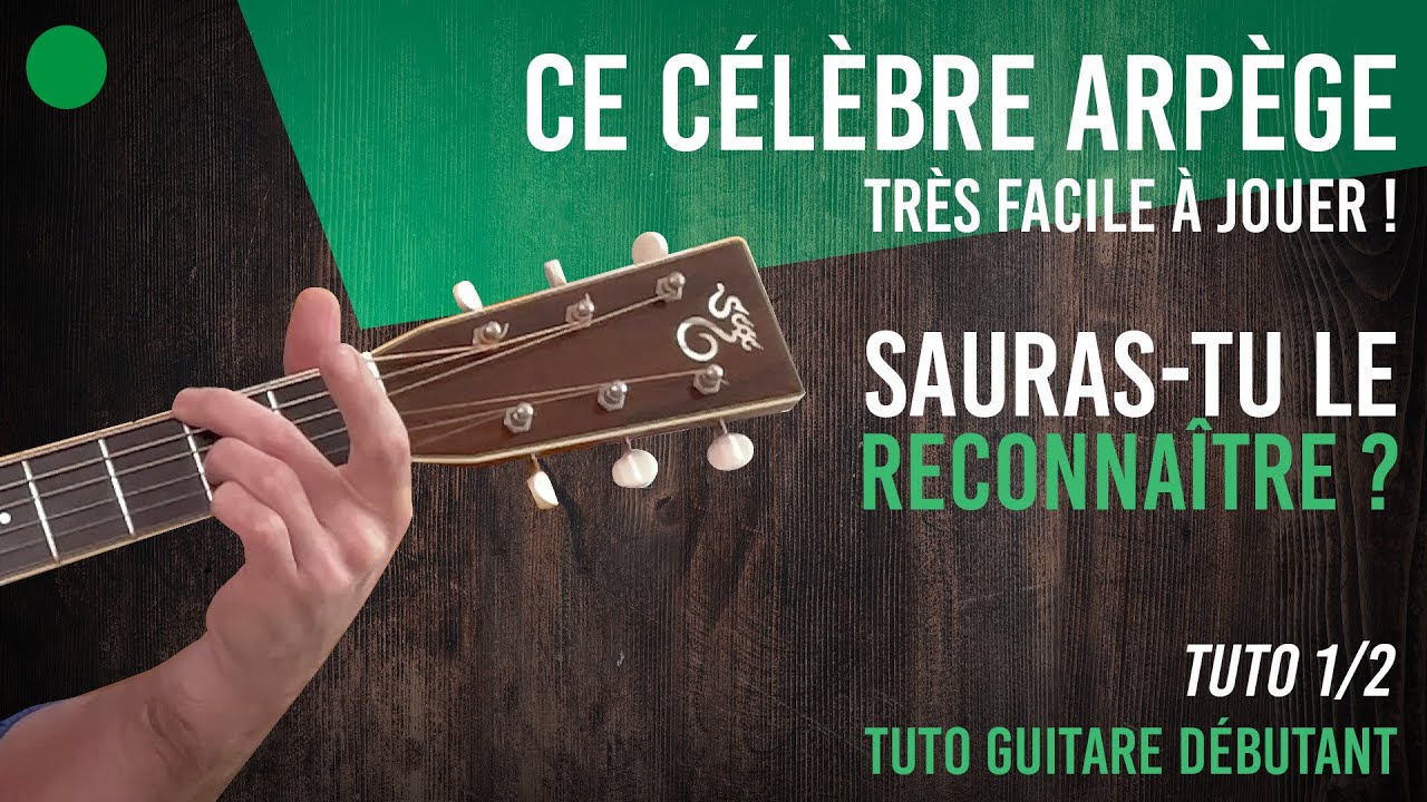 GUITARE POUR DEBUTANTS - LA GUITARE FOLK-POSITION + COMMENT L