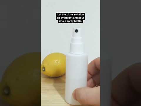 Video: Home Remedies für Bandwürmer in Ihrem Haustier