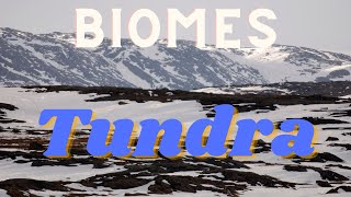 The Arctic Tundra biome