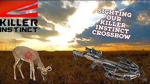 Sighting In Our New Killer Instinct Crossbow