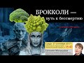 Евгения Малышева на "Научной Среде" - "Брокколи - путь к бессмертию"