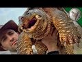 World's Most Famous Snapping Turtle - Dragon Tails Episode 1