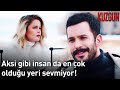 Kuzgun Dila Ya Ayar Veriyor Kuzgun 