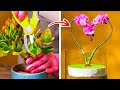 HOW TO SAVE YOUR PLANTS || Easy Ways to Grow Any Plants