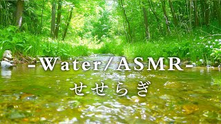 【Water sound / ASMR】Focus BGM, Relaxation BGM,Small rivers in Japan