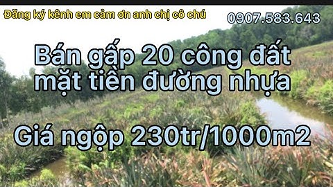 Bán gấp 20 công đất ruộng mặt tiền đường nhựa giá  rẻ 230tr/1000m2,Hoả tiến ,Tp,Vị Thanh, Hậu Giang