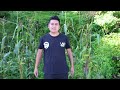 Video de San Miguel Panixtlahuaca