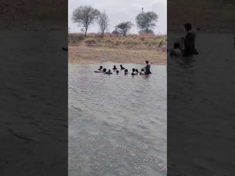 🐠🐟Velugodu fish hunting 🐠🐟#fishhunting #fisgingvillage #fish #fishingvideo