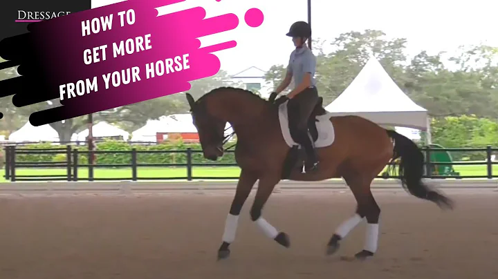 How To Get MORE From Your Horse With Laura Graves