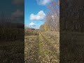 Однажды мы поймем 