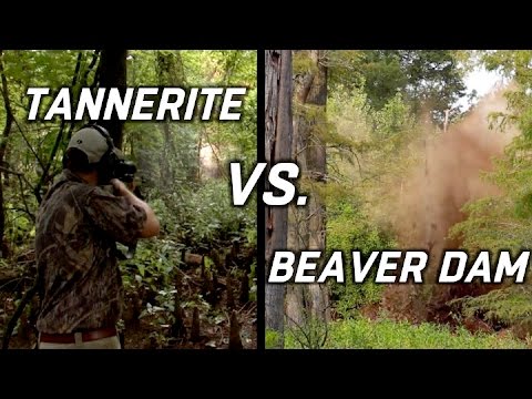 Will Tannerite Explosive Work In A Shaped Charge? 