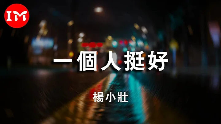 杨小壮 - 一个人挺好“ 我一个人熬过的那些绝望和最心碎的日子”【高音质‖动态歌词Lyrics】 - 天天要闻