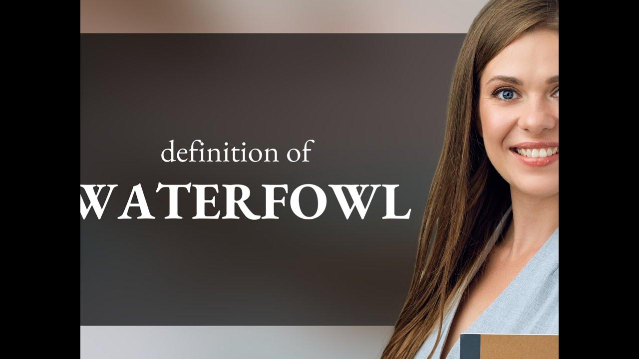 Waterfowl Meaning Of WATERFOWL YouTube waterfowl-meaning-of-waterfowl-youtube