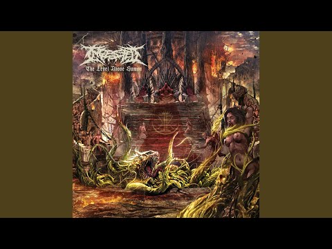 Смотреть «Misery Leech» на YouTube