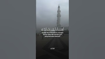 آيات تريح القلب #القرآن_الكريم #اكسبلور #ايات_قرانيه_قصيره #ارح_قلبك #تصويري #مقصد #قباء #المدينة