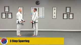 Step Sparring #3 - Yellow Belt (3 Step Sparring)