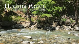 【ASMR自然音】川のせせらぎと鳥のさえずり Nature Sounds　新緑の渓谷｜勉強・作業用BGM・睡眠用BGM｜川の音・鳥の声｜快眠・リラックス