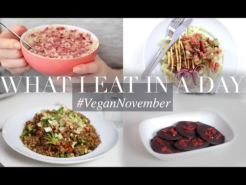 What I Eat in a Day #VeganNovember 12 (Vegan/Plant-based) | JessBeautician