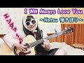 【Natsu 弾き語り】I Will Always Love You/Whitney Houston #Whitney#BODYGUARD#ホイットニーヒューストン#弾き語り#加藤夏穂