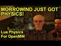 Morrowind Lua Physics Is HERE! | New Physics in OpenMW Is INSANE! 😱