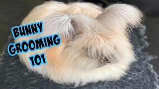 ANGORA RABBIT GROOMING | The Rabbit Sanctuary