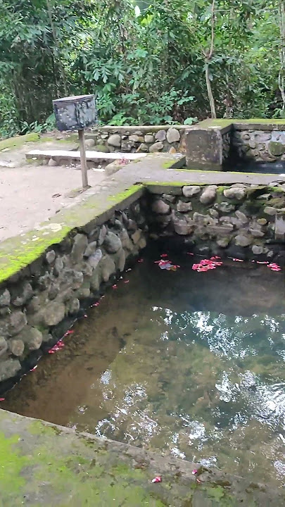 viral, bertapa sampai berlumut bukan sekedar dongeng