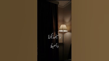 أجمل حالات واتساب قرآن كريم بصوت الشيخ علي جابر تلاوة تريح القلب #قناة_أبي_أنس_الرسمية
