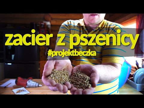 Wideo: Jak Zrobić Zacier Pszenny