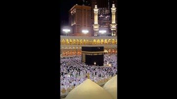 سورۃ الکوثر #تلاوة_خاشعة #نبی