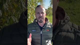 ANTIFA-TERROR: Schon wieder Brandanschlag auf AfD-Wahlkreisbüro in München! | Tobias Teich (AfD)