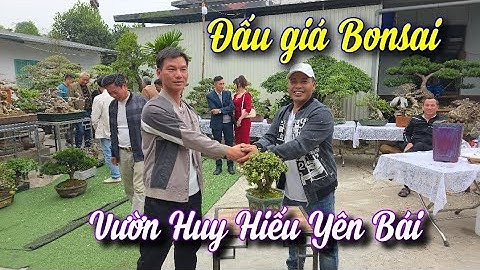 SH.11242. Đấu giá bonsai tại vườn cảnh Huy Hiếu Yên Bái. 