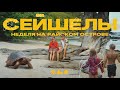 На Сейшелы всей семьёй Сколько это стоит На Сейшелы всей семьёй Сколько это стоит